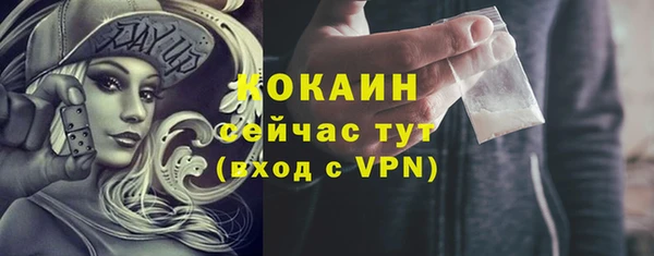 гашик Белокуриха