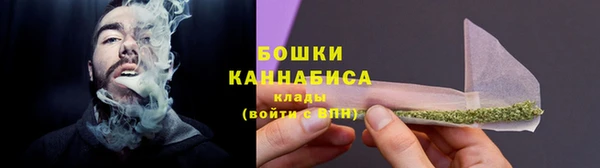 гашик Белокуриха