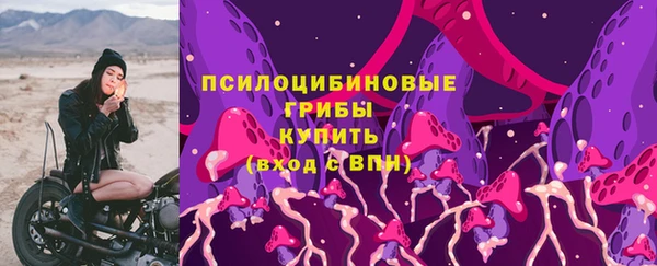 гашик Белокуриха