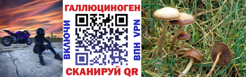 Псилоцибиновые грибы мухоморы  Волгореченск 