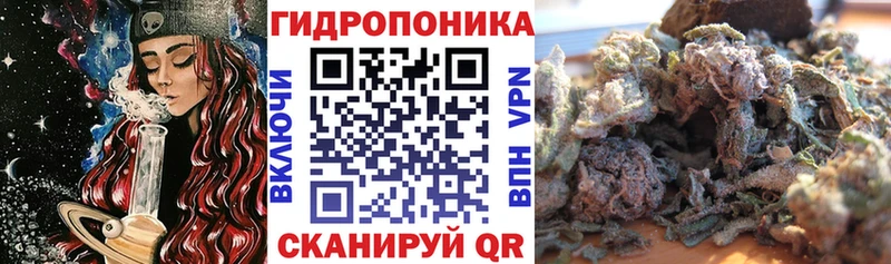 площадка телеграм  Волгореченск  Бошки Шишки ГИДРОПОН  цены   ссылка на мегу как зайти 